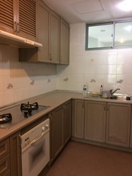 Astor Green (D21), Condominium #193493312